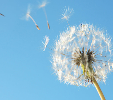 AG����ᡤ(�й���)������ҳ